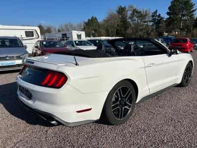 Ford Mustang Mustang Cabrio 2.3 *Autom.*Kamera*Euro6* (2020) - Photo 4