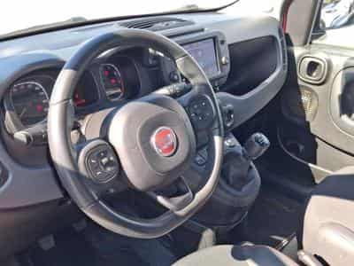 Fiat Panda RED 4Q (2022) - Photo 7