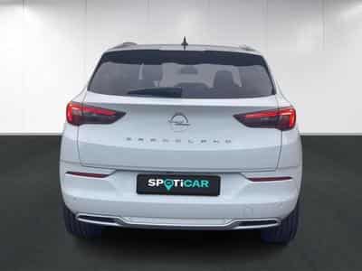 Opel Grandland Business Elegance (2023) - Photo 5