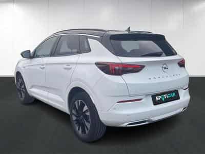 Opel Grandland Business Elegance (2023) - Photo 6