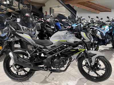 Benelli BN GRIS (2026) - Photo 1