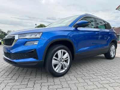 Skoda Karoq Selection (2025) - Photo 1