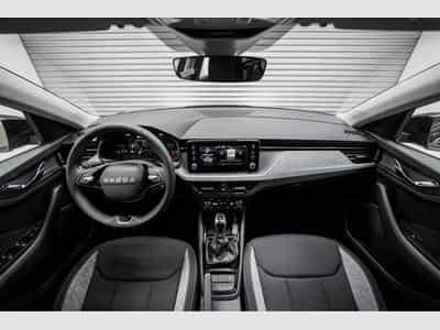 Skoda Scala 1,0 TSI DSG (2026) - Photo 6