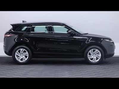 Land-Rover Range Rover Evoque D165 S AWD auto (2025) - Photo 3