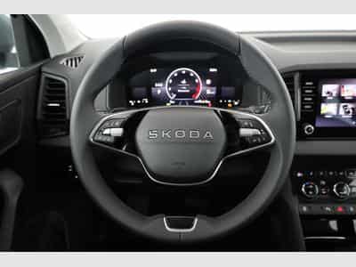 Skoda Karoq Selection (2026) - Photo 5