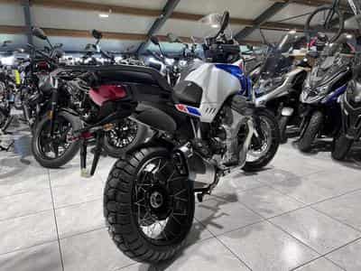 Moto Guzzi Stelvio PFF Rider Assistance Solution 1000  Duecento Tributo (2026) - Photo 3