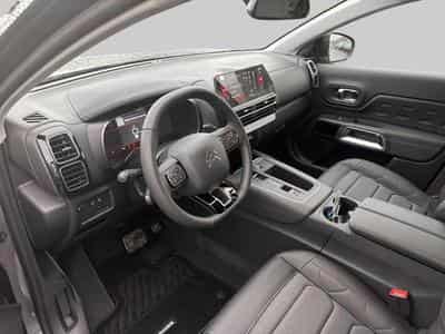 Citroen C5 Aircross Business (2025) - Photo 11