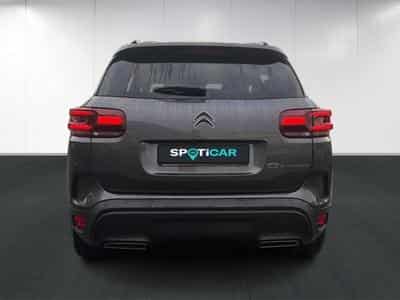 Citroen C5 Aircross Business (2025) - Photo 5