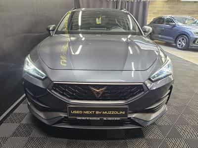 Cupra Leon SP VZ CUP 2.0 TSI 300 CH (2024) - Photo 3