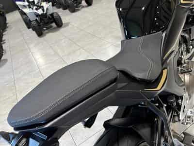 QJmotor SRK 550 (2026) - Photo 7