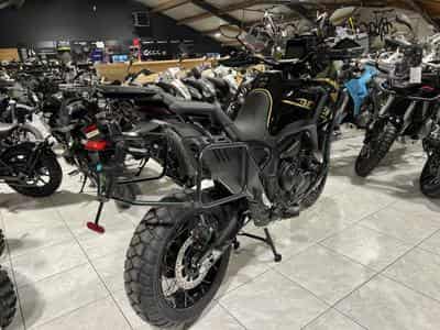 Zontes 703 F BLACK/GOLD 19 (2026) - Photo 3
