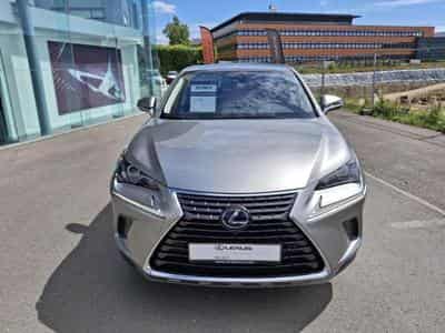 Lexus NX Executive (2020) - Photo 1