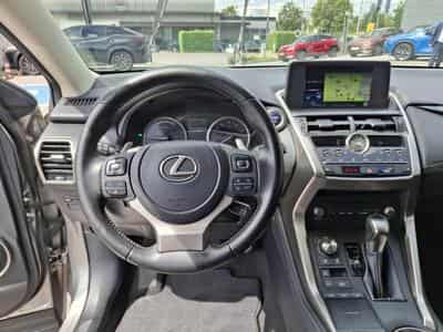 Lexus NX Executive (2020) - Photo 13
