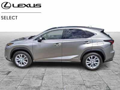 Lexus NX Executive (2020) - Photo 2