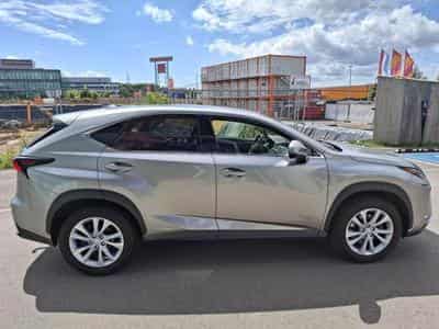 Lexus NX Executive (2020) - Photo 4