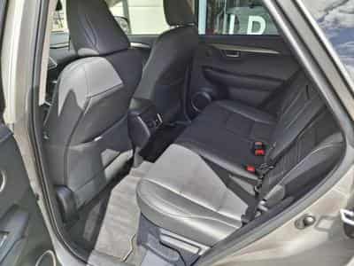 Lexus NX Executive (2020) - Photo 9