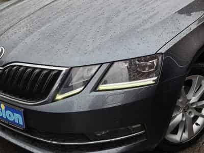 Skoda Octavia BREAK TDI DSG (2019) - Photo 2