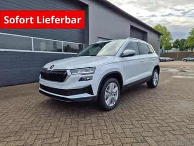 Skoda Karoq Standard (2026) - Photo 1
