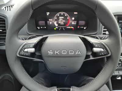 Skoda Karoq Standard (2026) - Photo 15