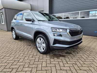 Skoda Karoq Standard (2026) - Photo 7