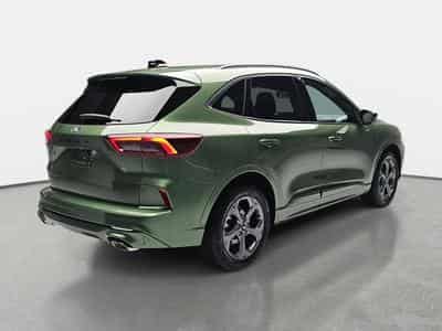 Ford Kuga 1.5 EcoBoost 186 Auto ST-Line (2025) - Photo 5