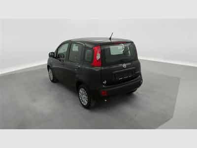 Fiat Panda 1.0i MHEV City Life CLIM / PDC AR (2025) - Photo 2