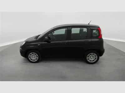 Fiat Panda 1.0i MHEV City Life CLIM / PDC AR (2025) - Photo 3