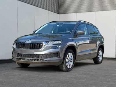 Skoda Karoq Selection (2026) - Photo 1