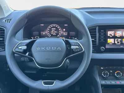Skoda Karoq Selection (2026) - Photo 7