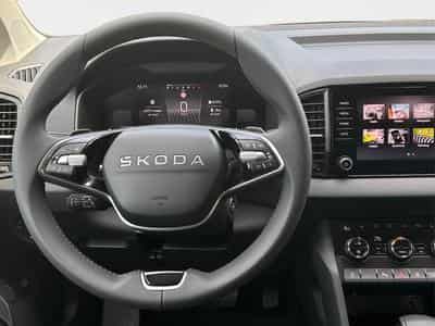 Skoda Karoq Selection (2026) - Photo 7