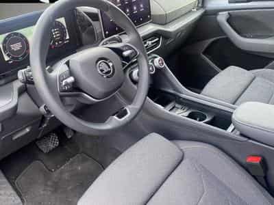Skoda Kodiaq (2024) - Photo 3