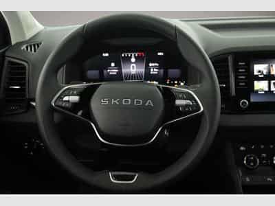 Skoda Karoq (2026) - Photo 6