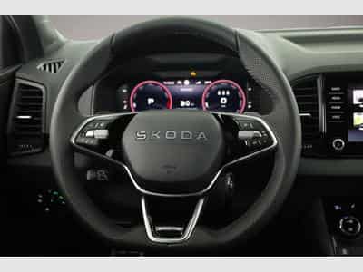 Skoda Karoq (2026) - Photo 6