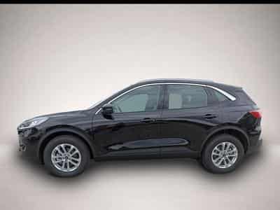 Ford Kuga (2023) - Photo 2
