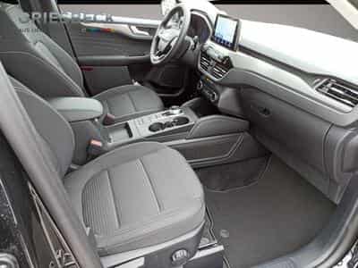 Ford Kuga (2023) - Photo 7