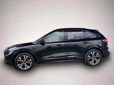 Ford Kuga (2024) - Photo 2