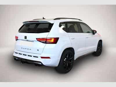 Cupra Ateca (2026) - Photo 3