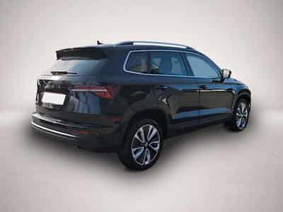 Skoda Karoq (2024) - Photo 7