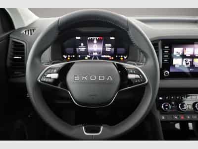 Skoda Karoq (2026) - Photo 6