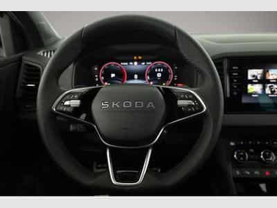 Skoda Karoq (2026) - Photo 6
