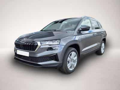 Skoda Karoq (2026) - Photo 7