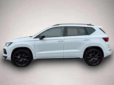Cupra Ateca (2026) - Photo 3