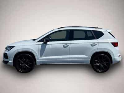 Cupra Ateca (2026) - Photo 3