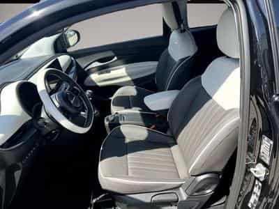 Fiat 500 (2026) - Photo 7