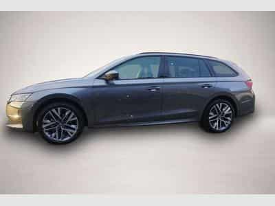 Skoda Octavia (2025) - Photo 5