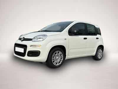 Fiat Panda (2026) - Photo 1