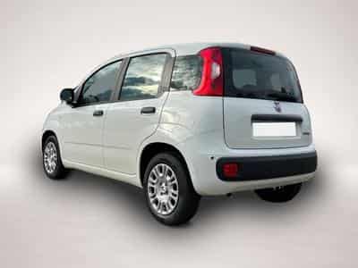 Fiat Panda (2026) - Photo 2