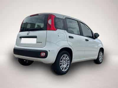 Fiat Panda (2026) - Photo 4