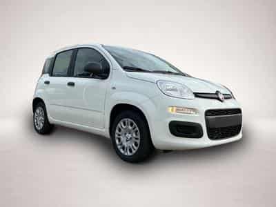 Fiat Panda (2026) - Photo 5
