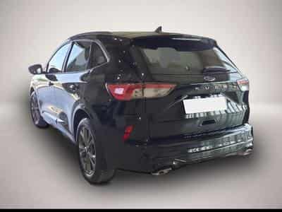 Ford Kuga (2026) - Photo 2